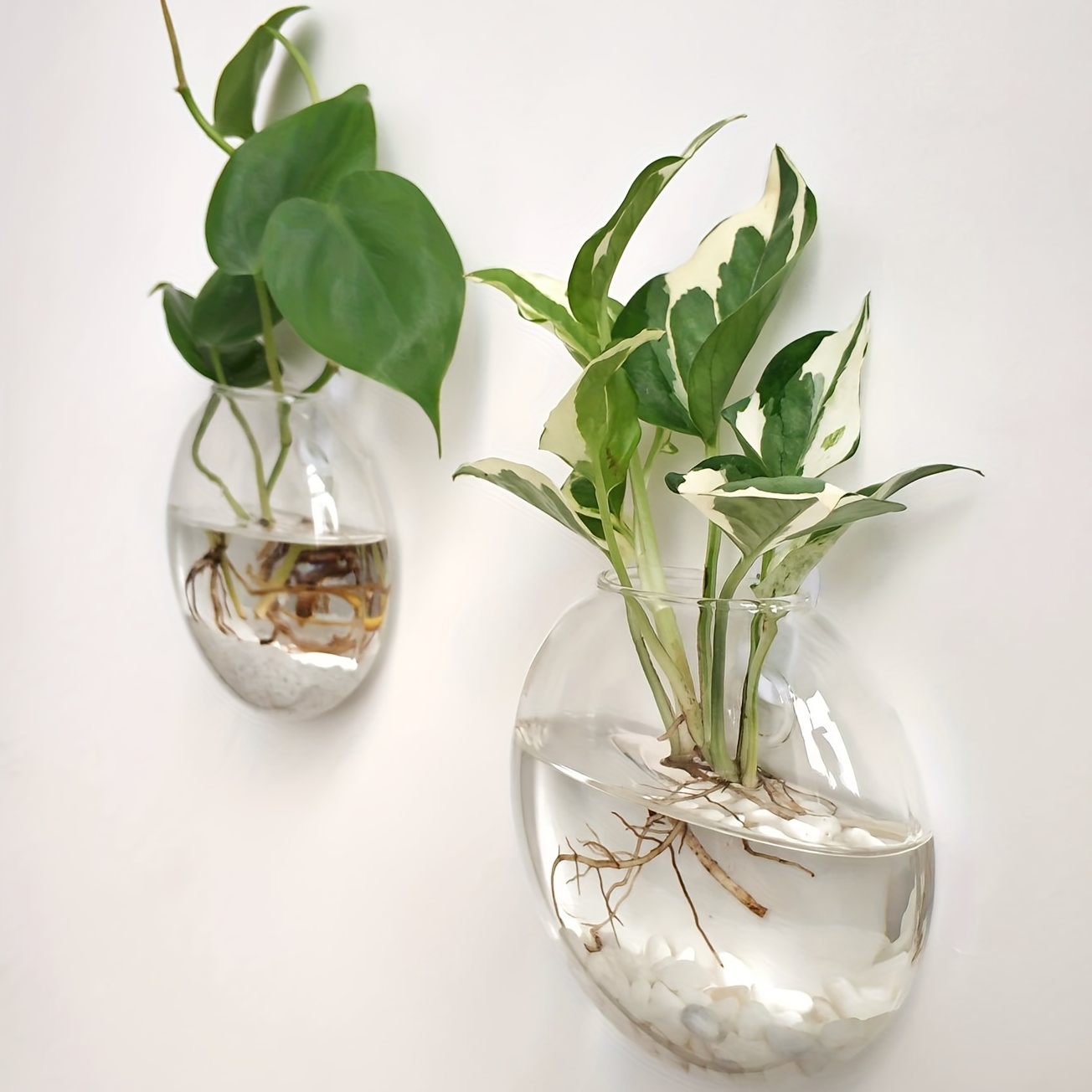 Home Office Form - テラリウム植木鉢,家の装飾,壁掛け花瓶,水耕植物,オフィスギフト,2個,4個,6個